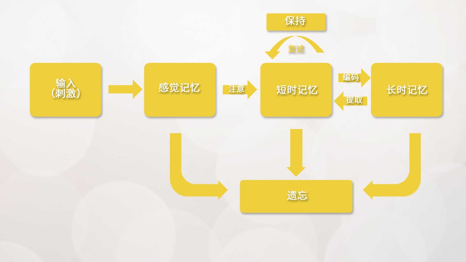 眼动仪在学习记忆研究领域的应用